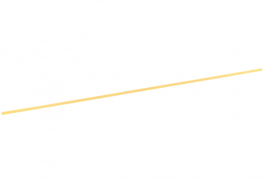 Réglette isolante longitudinale SL4 & GP4